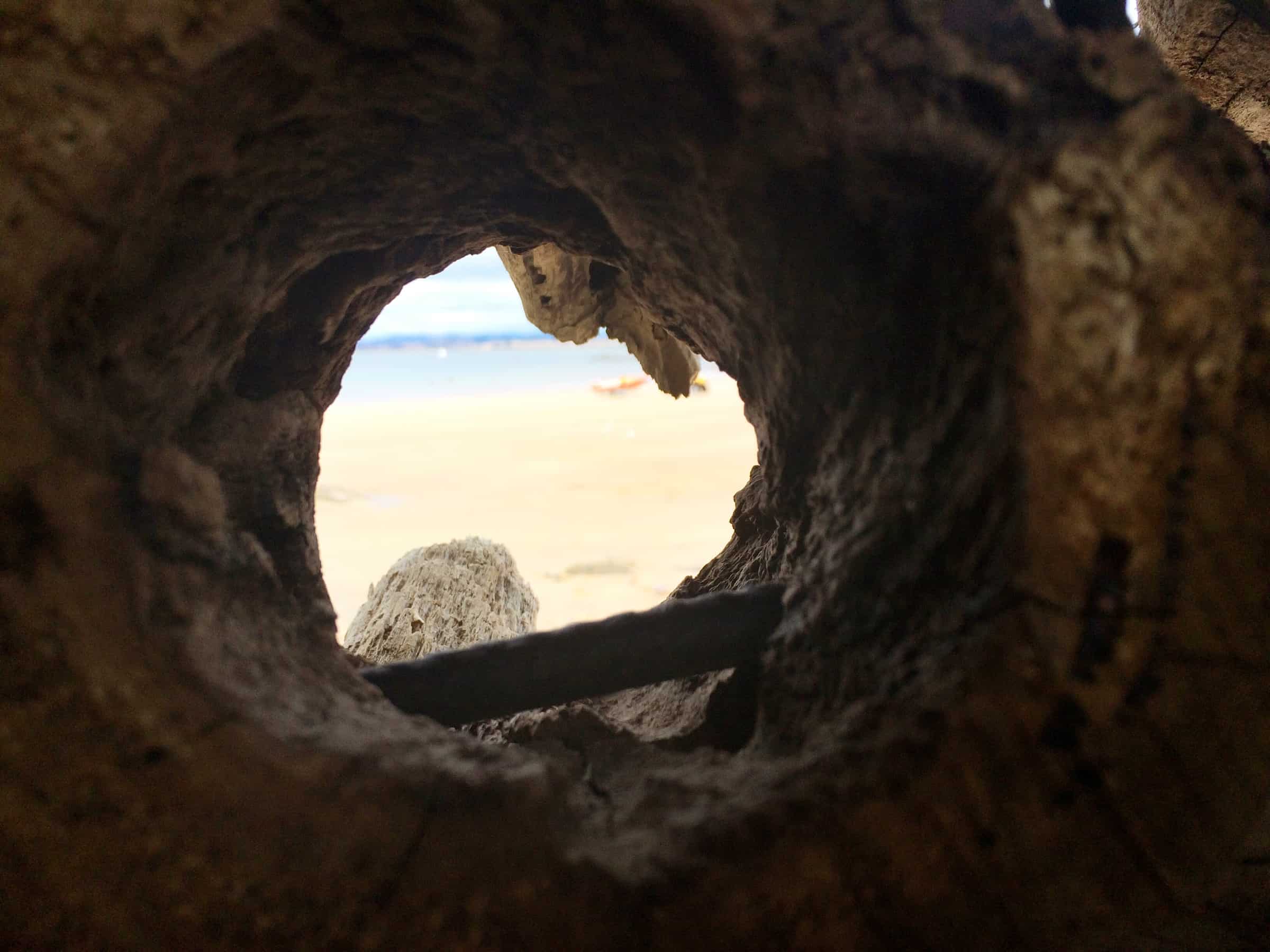 A 'spy hole' from Marcus Tatton's Seaspores at Mersey Bluff 