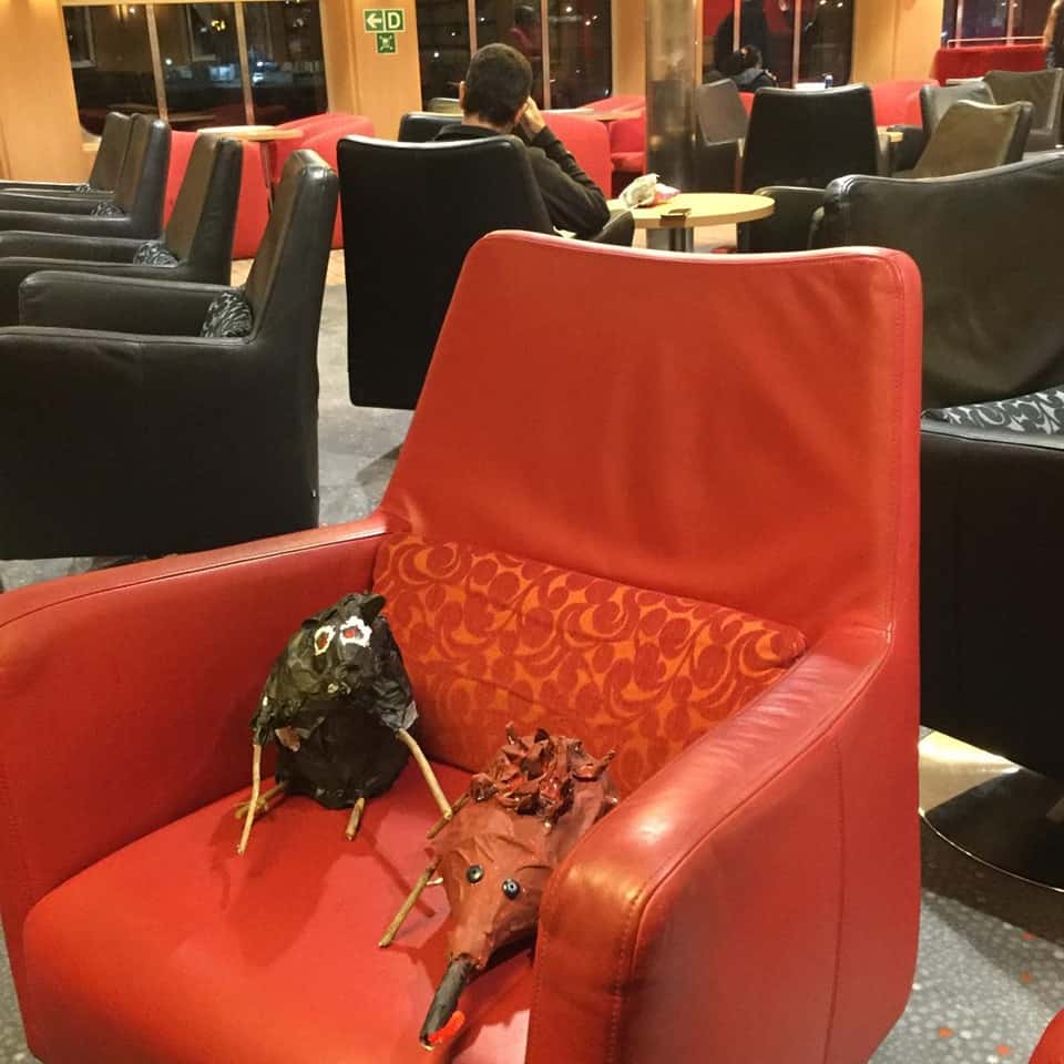 critters on chairs.jpg